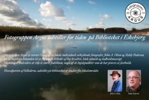 Bibliotek plakat