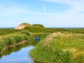 _MG_3980_R_W