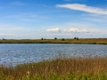 _MG_3983_R_W