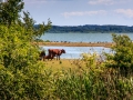 _MG_3987_R_W