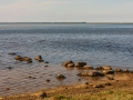 _MG_4088_R_W
