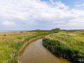 2014-Saltbaekvig-003_LowRes